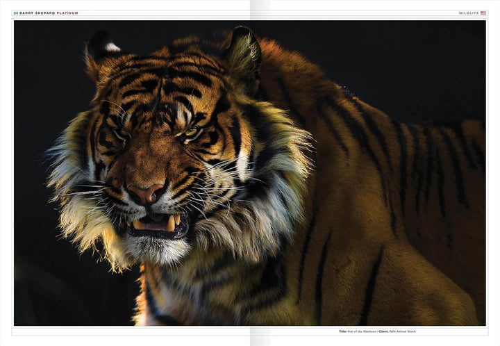 Graphis Photography Annual 2022 by B. Martin Pedersen (2021, Hardcover)