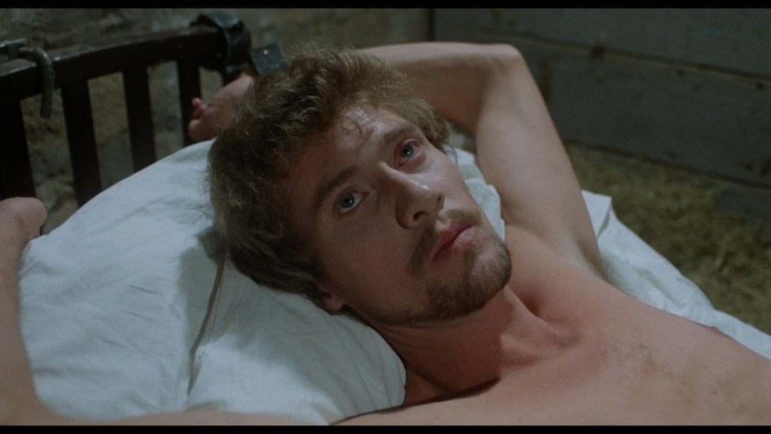 Dracula Sucks (UHD, 1979)
