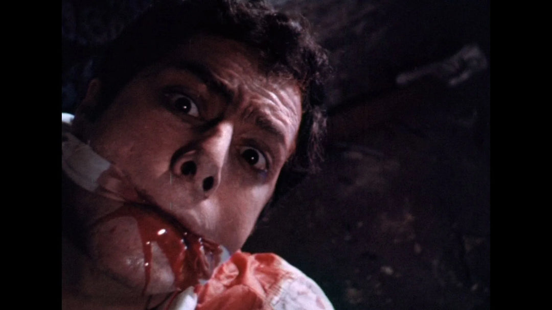 The Dungeon Of Andy Milligan Collection [Blu-ray]