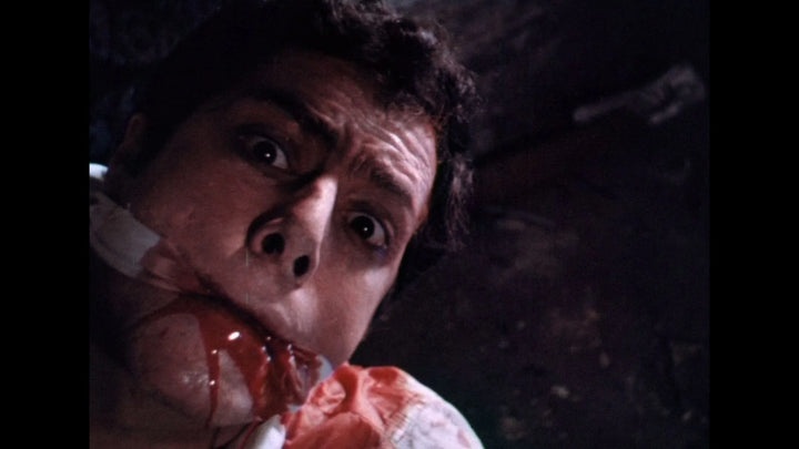 The Dungeon Of Andy Milligan Collection [Blu-ray]