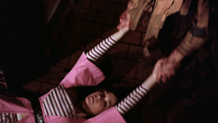 The Dungeon Of Andy Milligan Collection [Blu-ray]