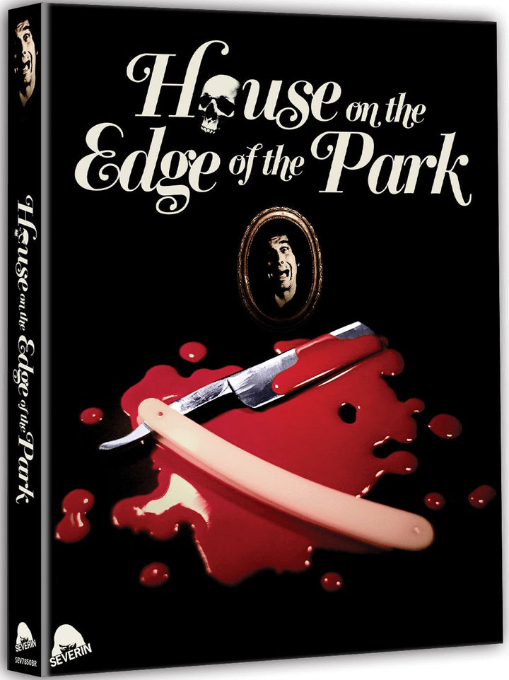 House on the Edge of the Park