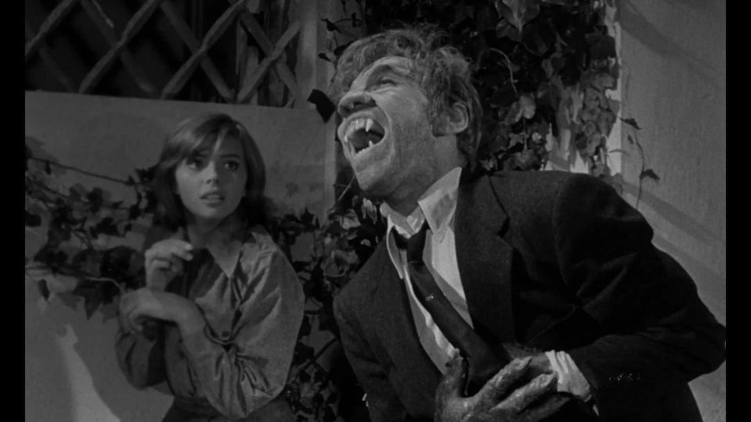 Werewolf in a Girls Dormitory