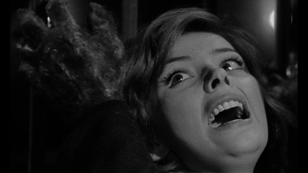 Werewolf in a Girls Dormitory