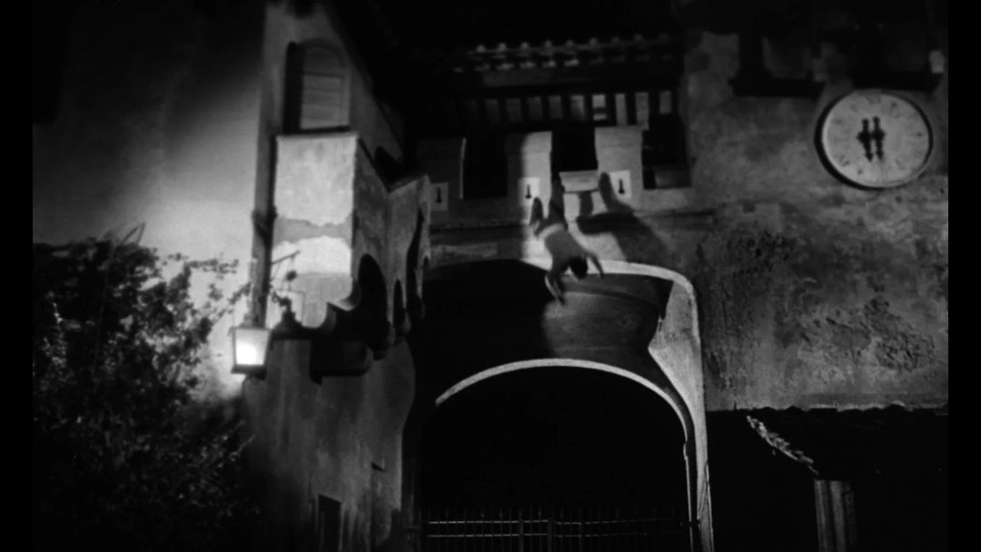 Werewolf in a Girls Dormitory