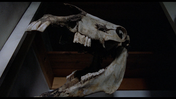 SCHIZOID / X-RAY