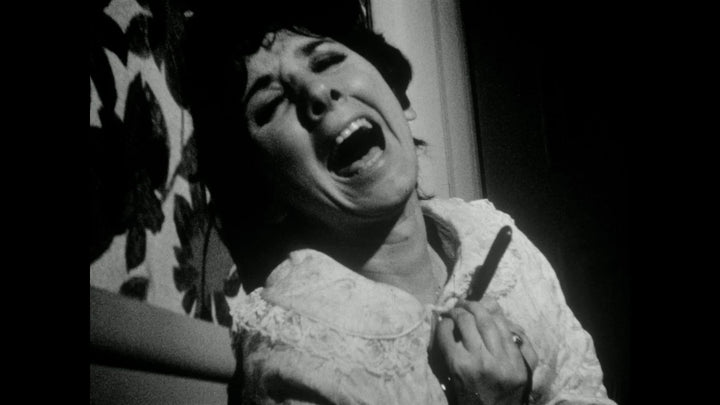 The Dungeon Of Andy Milligan Collection [Blu-ray]