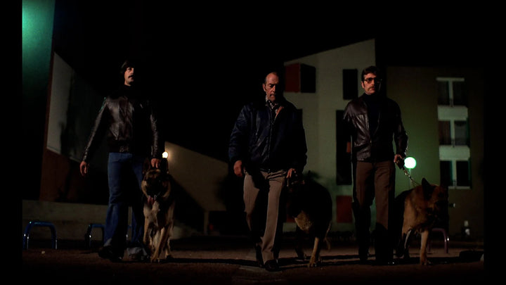 The Dogs