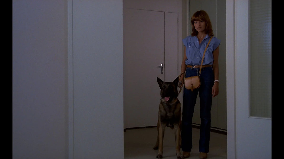 The Dogs