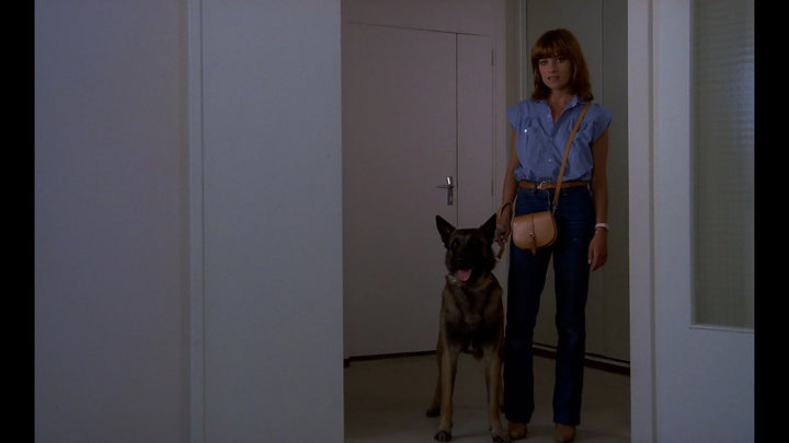The Dogs