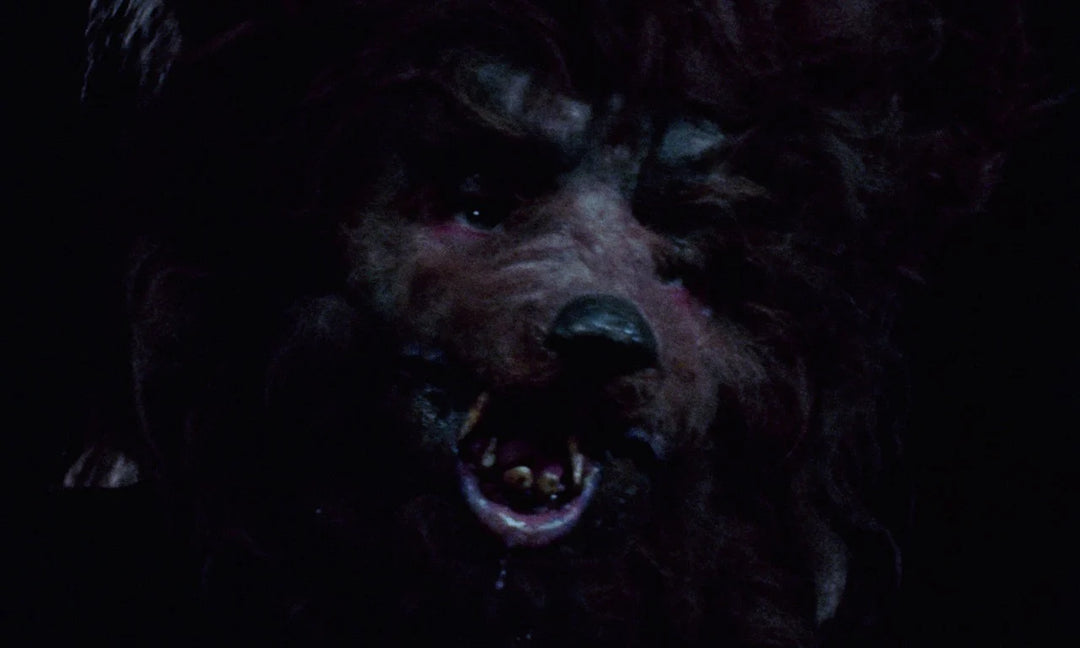 The Mummy And The Curse Of The Jackals