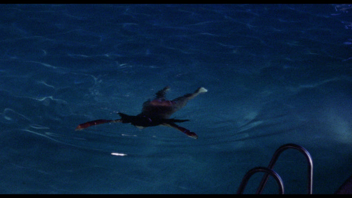 Spanish Blood Bath: Night of the Skull / Violent Blood Bath / The Fish with the Eyes of Gold