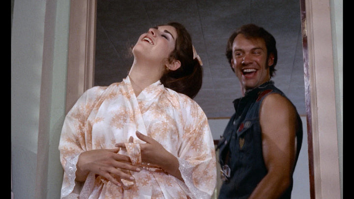 Russ Meyer's Vixen