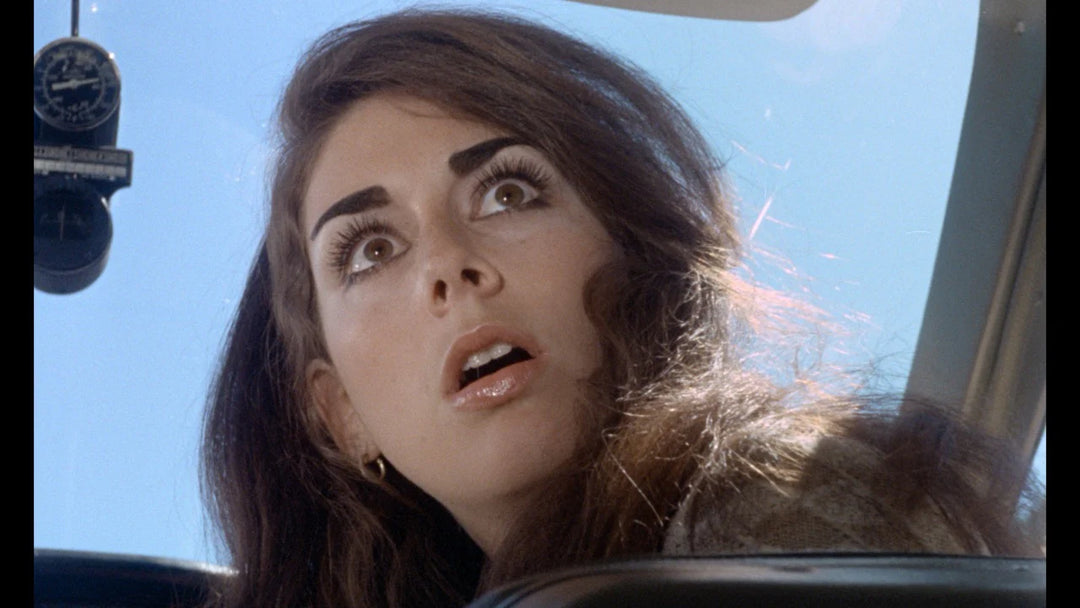 Russ Meyer's Vixen
