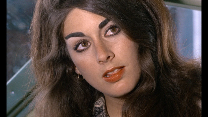 Russ Meyer's Vixen