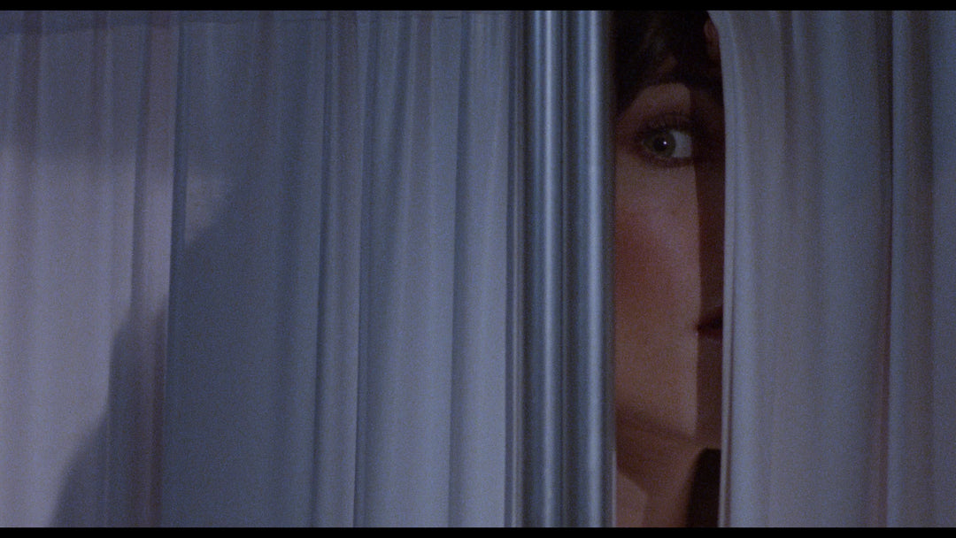 SCHIZOID / X-RAY