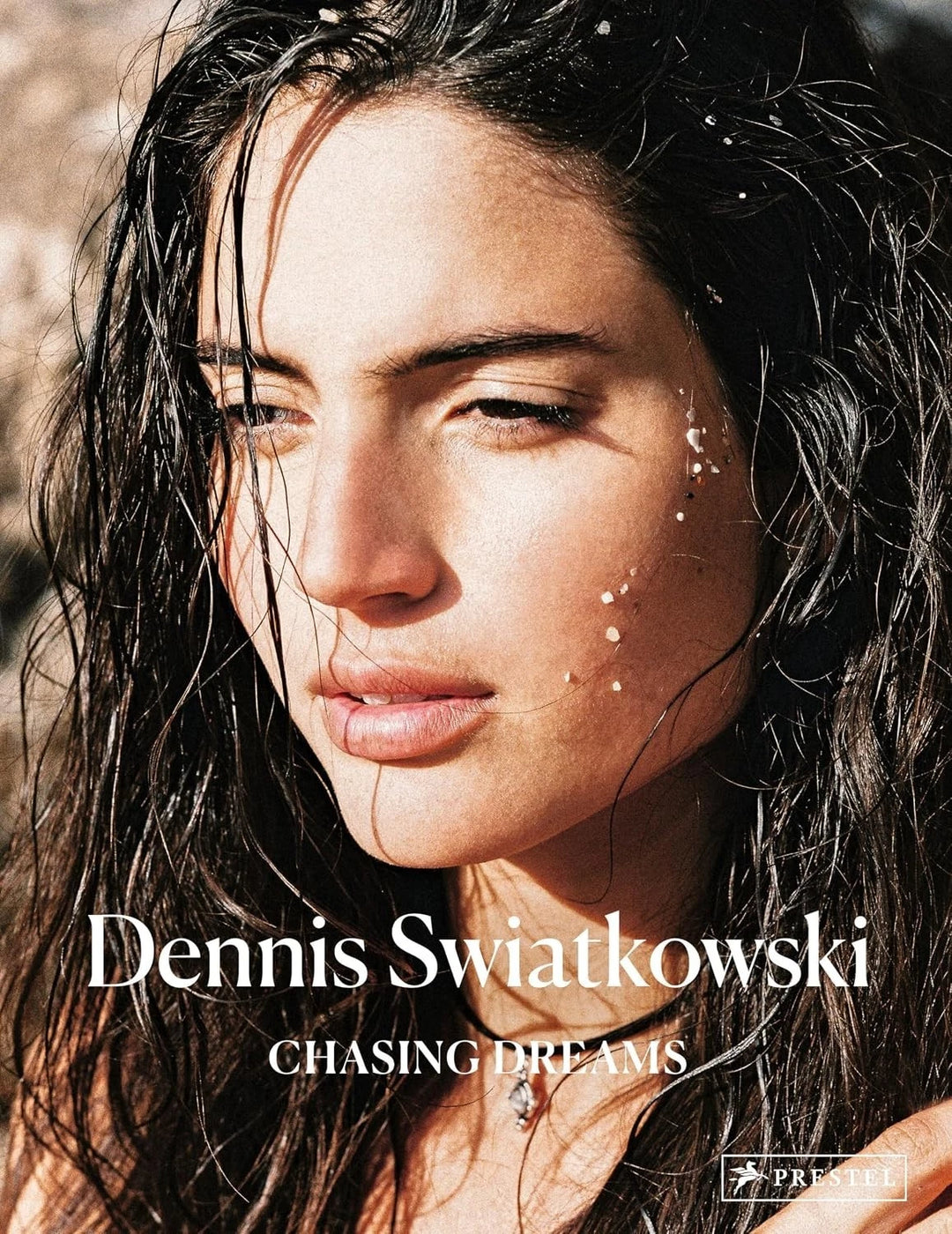 Dennis Swiatkowski : Chasing Dreams by Dennis Swiatkowski (2018, Hardcover)
